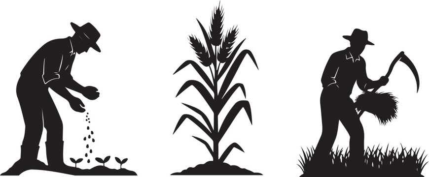 Farmers planting and harvesting crops in a field silhouette