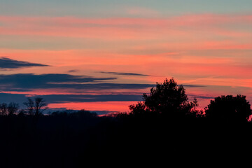 Fototapeta premium A vivid sunset displays orange and pink hues across cloud-laden sky. Silhouettes of trees create striking contrast against the colorful sky. The trees are mostly deciduous, with one prominent conifer