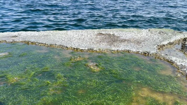 sea