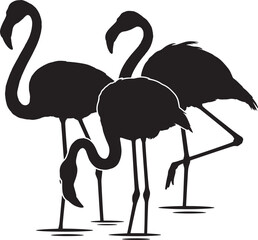 Naklejka premium black silhouette of three flamingos standing in water