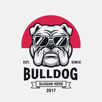 Cool Bulldog Mascot Logo with Sunglasses and Red Background.