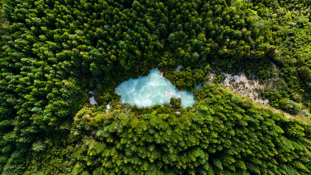 Aerial view of an ethereal turquoise pool nestled amidst a dense tapestry of emerald trees, Waiotapu Thermal Wonderland, Waikato Region, New Zealand.
