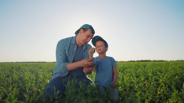 Father and son in field. Father and son teaching their son how to grow crops in a field. A male bonding with a female outdoors capped agriculture plants. Parent and child in a lifestyle meadow.
