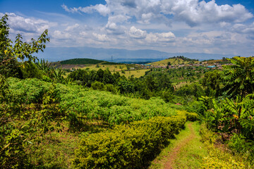 Obraz premium Rural hills and farmland near Fort Portal in western Uganda under large clouds