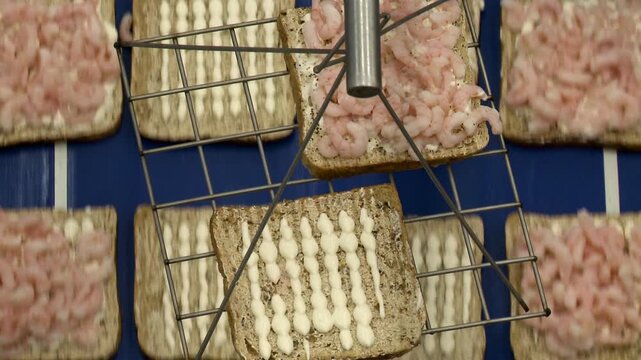 bread on conveyor belt in sandwich factory