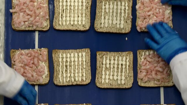 bread on conveyor belt in sandwich factory