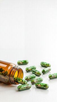 Eco supplement capsules with miniature forest ecosystem spilling from amber glass bottle, minimal background, copy space. Concept of natural medicine, sustainability, herbal treatment, green inovation