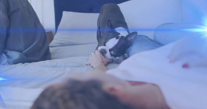 Person's hand initiating tug, small black-and-white dog pulling green ball, resisting playful pull