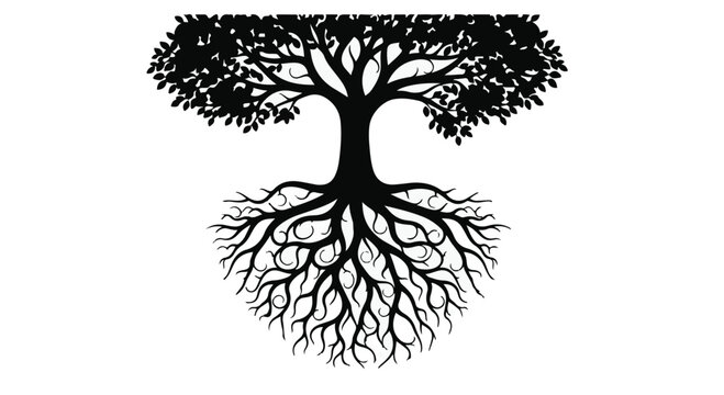 Tree with complex root systems illustrates natural growth and connectivity.