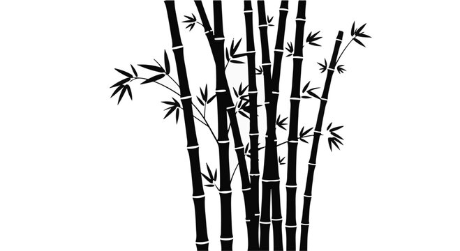 Bamboo stalks stand together in a simple and elegant natural botanical arrangement.
