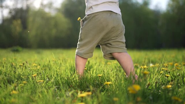 Child's bare feet running through a field. Baby steps in the grass at the park. A child is walking on bare feet. A child's unshod feet dashing lifestyle across a meadow.