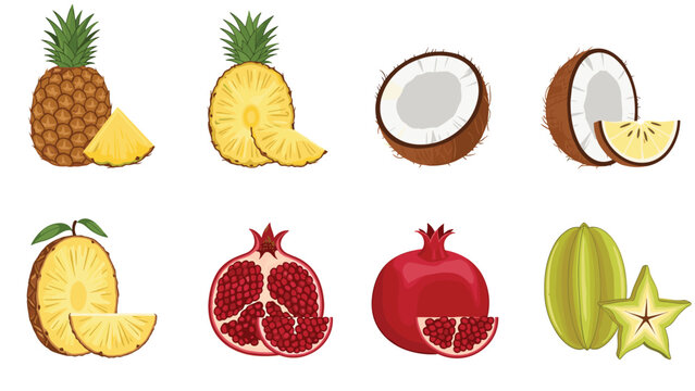 Set of tropical fruits including pineapple, coconut, pomegranate, and carambola with slices isolated on white.