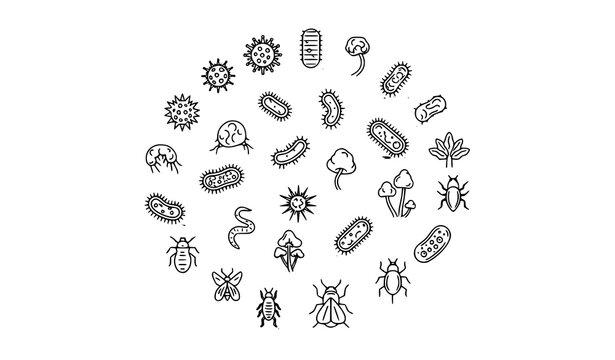 Minimal microorganism and virus line icon collection in circular layout isolated on white background