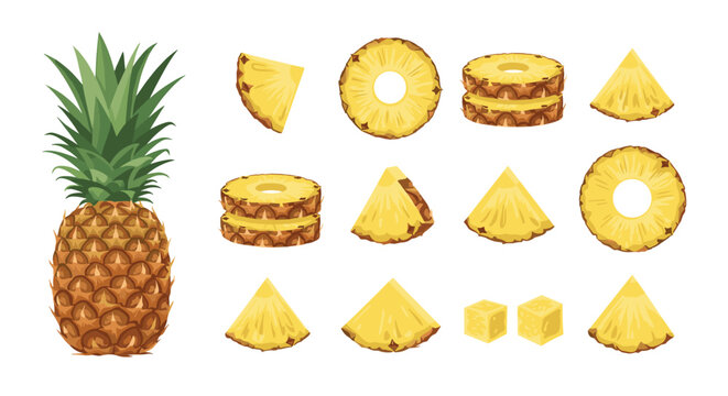 Whole pineapple with fresh green leaves and various slices in rings, chunks, and cubes for tropical fruit concept.