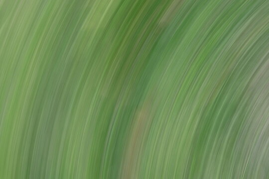 Abstract green motion blur with curved lines captures dynamic flow. Vibrant natural tones evoke energy and organic growth. Perfect for eco-friendly backgrounds and conceptual art on sustainability.