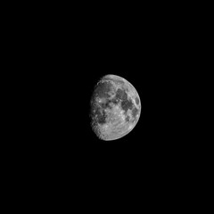 Fototapeta premium Beautiful half moon on the black sky background
