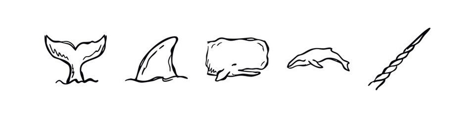 Marine Life and Whale Icons, Nautical Sketch Style © liubomir118809