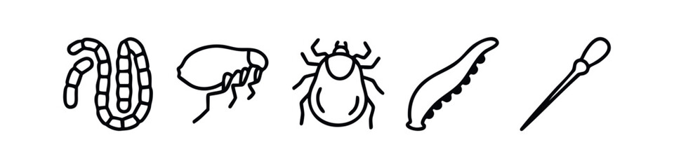 Line art insects and parasites, medical illustration © liubomir118809