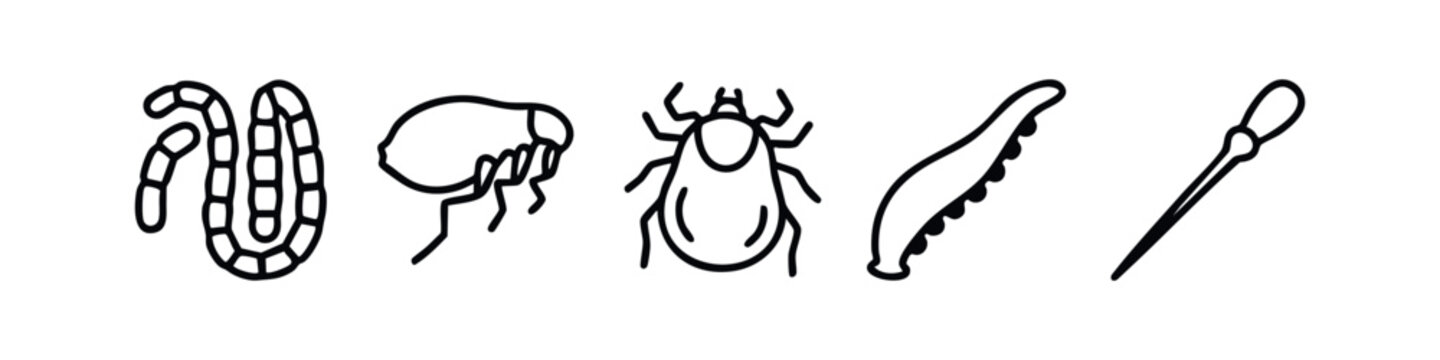 Line art insects and parasites, medical illustration