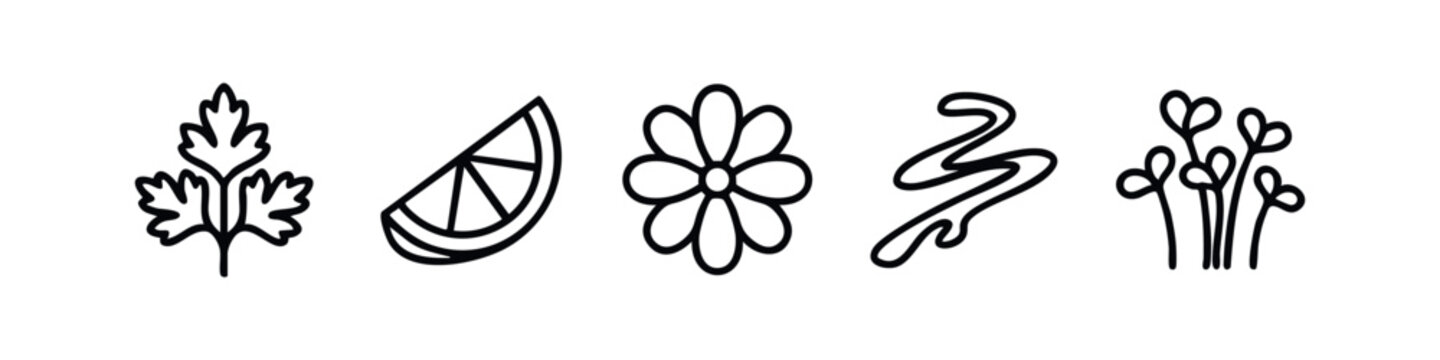 Set of 5 minimalist line art icons: parsley leaf, lemon slice, flower, wavy line, sprouts.
