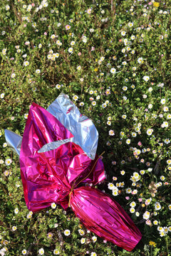 Big Easter chocolate egg wrapped in pink foil on green meadow with many common daisies on a sunny day. Easter background