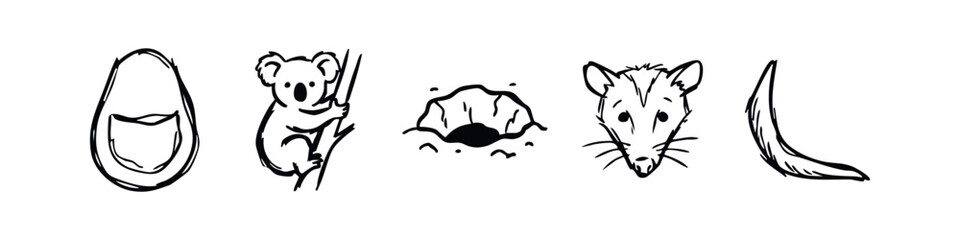 Doodle Icons: Kangaroo Pouch, Koala, Rock Formation, Possum Face, Tail © liubomir118809