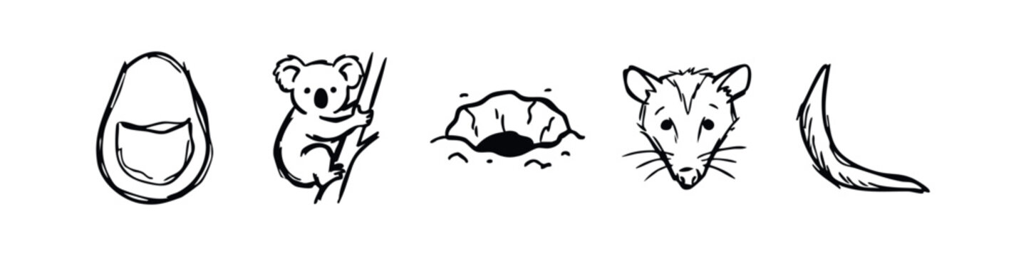 Doodle Icons: Kangaroo Pouch, Koala, Rock Formation, Possum Face, Tail