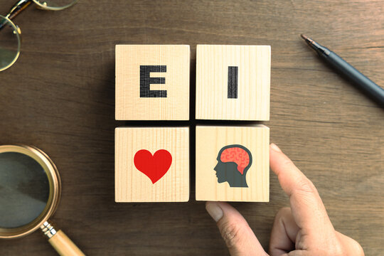Emotional Intelligence Concept Using Logic to Control Emotion with Wooden Blocks