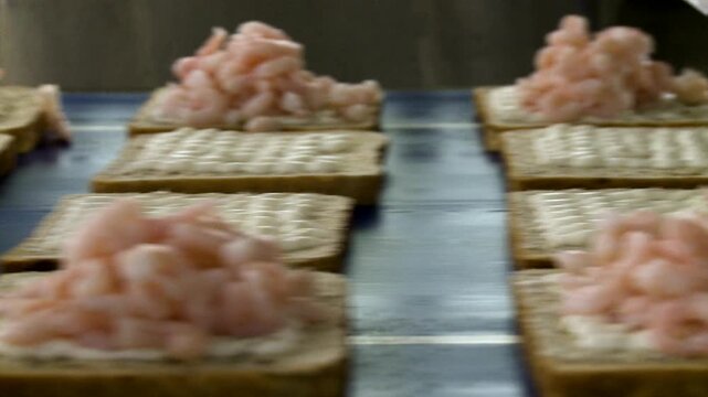 shrimps on bread in sandwich factory