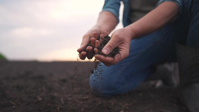 agriculture. The individual farmer is inspecting soil texture and composition, possibly preparing for planting or farming activities.. agriculture farm concept. farmer works in the field