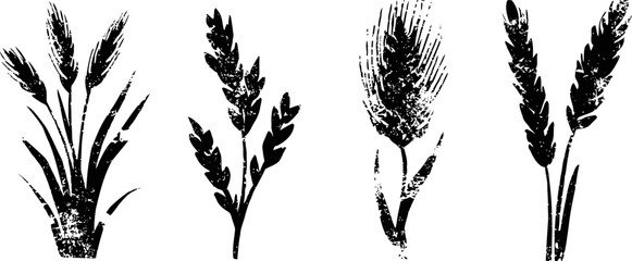 Fototapeta premium black wheat ear silhouettes set of four isolated grain spikelets with stalk and leaves