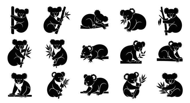 Koala silhouettes in various poses with eucalyptus leaves on white background