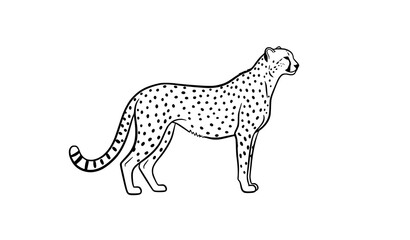 Creative cheetah minimal sketch vector illustration dynamic wildlife art isolated on white background © MdRabbi