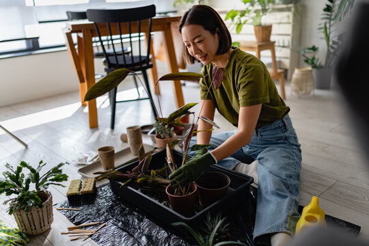 Young East Asian woman repotting houseplants on the floor at home. Indoor gardening scene with tools, soil, and greenery, showing plant care, hobby, and relaxed lifestyle