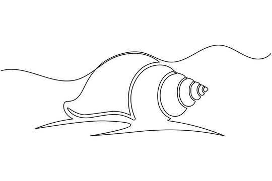 Simple Seashell One Line Art Elegant Ocean Shell Outline Minimal Beach Design Vector