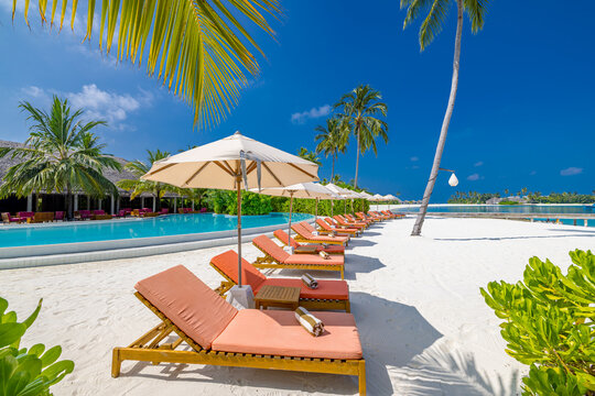 Stunning tropical beach resort poolside sunbeds umbrellas palm trees turquoise water luxury travel destination paradise vacation relaxation idyllic coastal scenery captivating island retreat