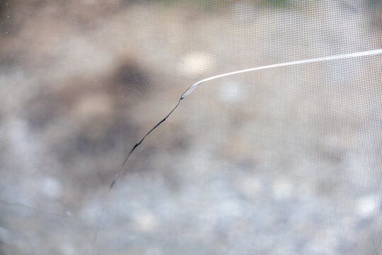 Crack in window glass with mosquito screen mesh visible. Close-up of damaged window surface with torn mesh and blurred outdoor background