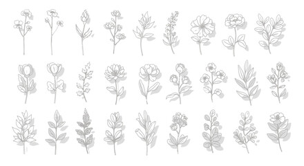 Fototapeta premium Minimalist hand drawn botanical line art, set of 27 elegant floral sketches and wild flower icons, delicate grey ink vector illustrations for wedding stationery