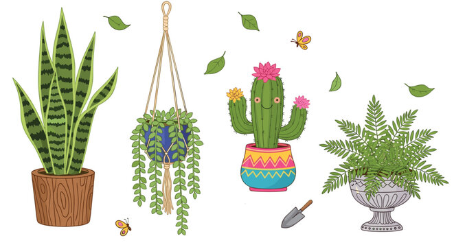 Set of common indoor houseplants features a snake plant, a hanging vine, a flowering cactus, and a lush fern in decorative ceramic pots.