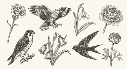 Set of of birds and flowers. engraving illustration birds and flower © bow