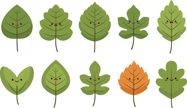 Cute cartoon leaf characters vector set with smiling faces various green and autumn leaves isolated nature illustration