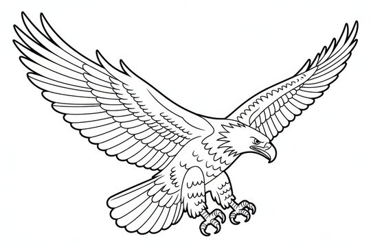 Vintage eagle line art illustration, black and white raptor outline with wings spread, tattoo style bird design