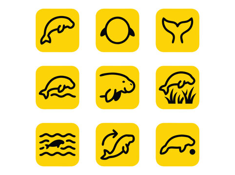 Set of Nine Manatee Sea Cow Icons in Yellow Square Frames.