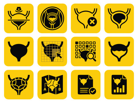 Set of medical bladder icons representing urology and bladder health diagnostic procedures.
