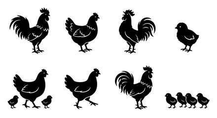 Rustic chicken silhouette collection, farm animal vector set with roosters and hens, black poultry icons for organic food branding and farm signage © Mohsin