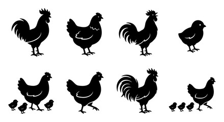 Black chicken silhouette collection, farm poultry vector set with rooster and hen icons, organic agriculture bird graphics for meat and egg packaging © Mohsin