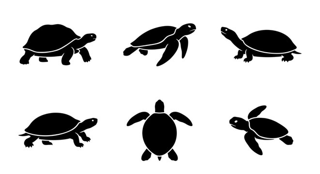 Black turtle silhouette collection, set of 6 sea turtle and tortoise icons, minimalist aquatic animal vector graphics for nature logos