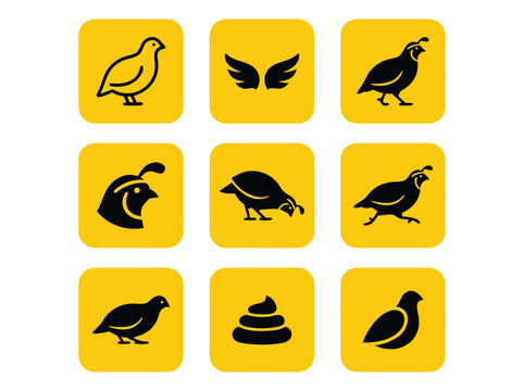Set of minimalist quail bird icons and symbols.