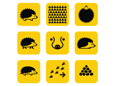 Set of minimalist vector icons featuring hedgehogs and related nature elements in black and yellow.