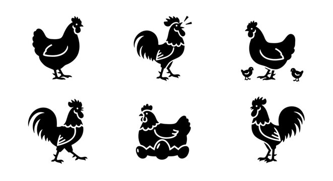 Rustic chicken silhouette set, black farm bird icons with rooster and hen, 6 poultry vector elements for organic food branding and farm logos